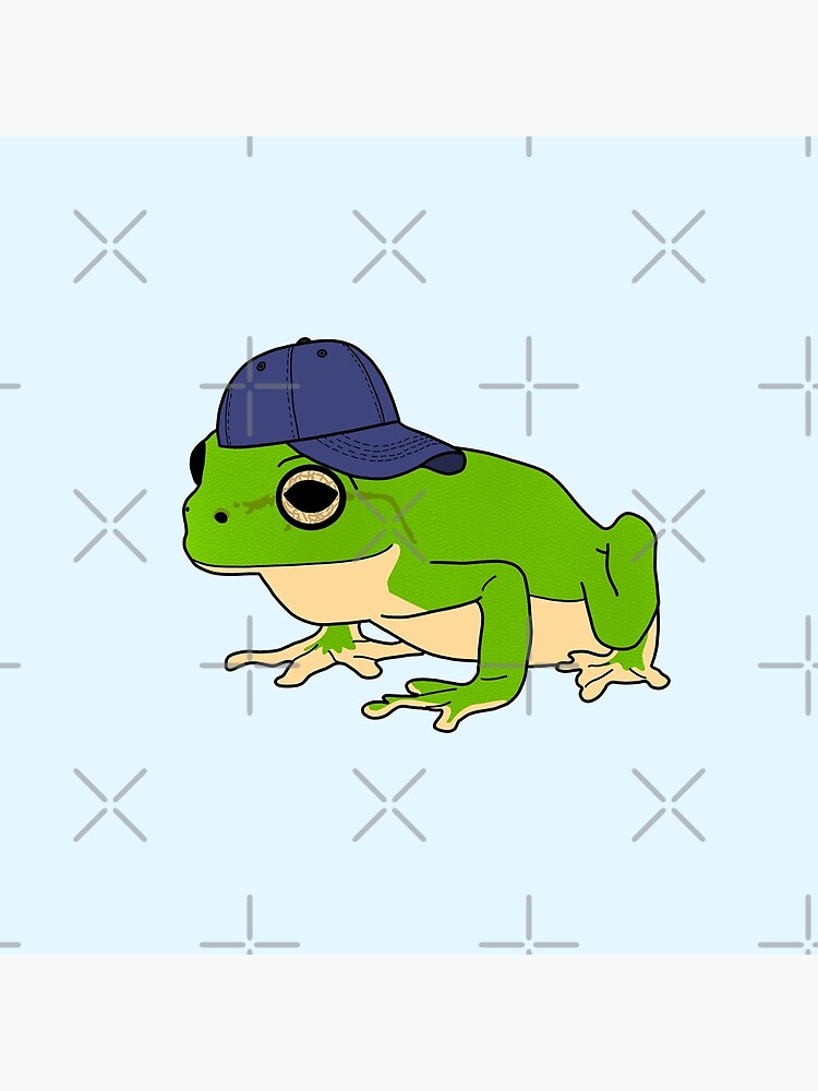 Frog with Baseball Hat | Photographic Print