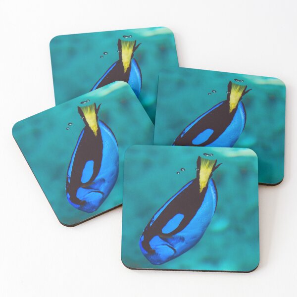 Item preview, Blue Tank Fish Underwater Photo designed and sold by mayankdozdesign.
