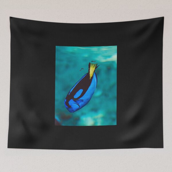 Item preview, Blue Tank Fish Underwater Photo designed and sold by mayankdozdesign.