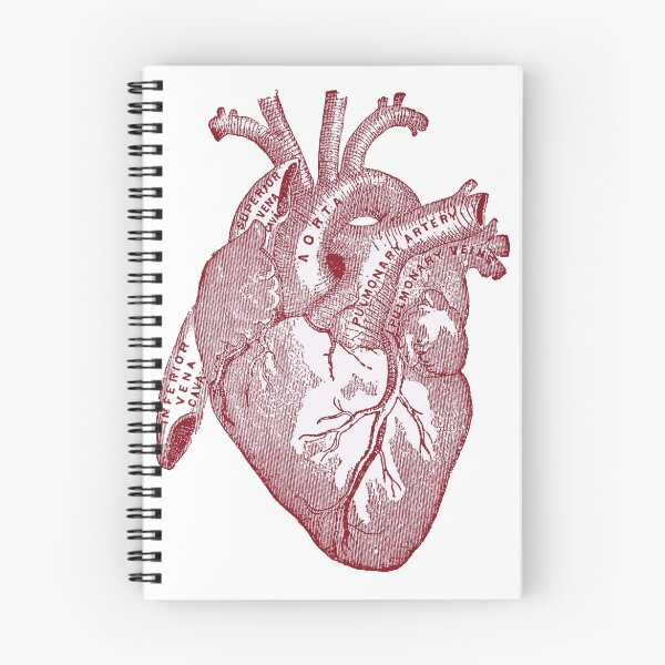 Item preview, anatomical heart designed and sold by thedeathcats.