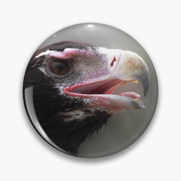 Item preview, Wedge-Tailed Eagle designed and sold by Carole-Anne.