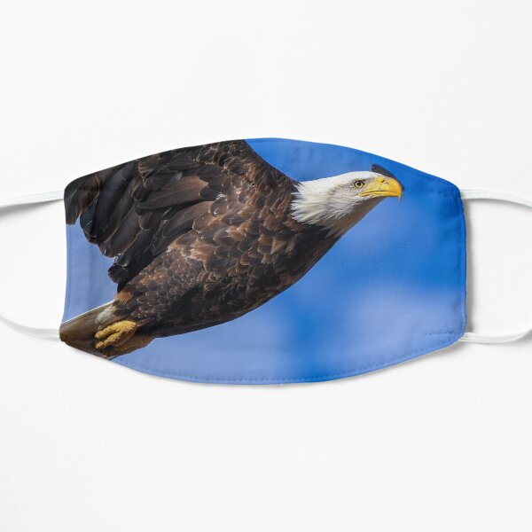 Soaring Like an Eagle Mask