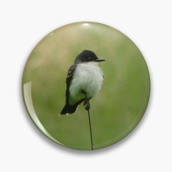 Item preview, Eastern Kingbird designed and sold by shotsfromthehip.