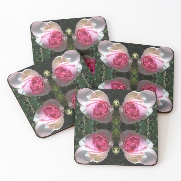 Item preview, Summer Quadrangle, Roses Divine- Pierre de Ronsard designed and sold by RoseAromas.