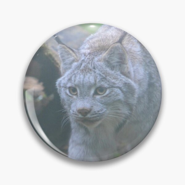 Item preview, Canada Lynx designed and sold by akdcash.