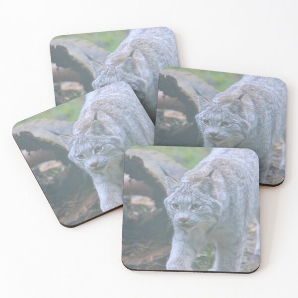 Item preview, Canada Lynx designed and sold by akdcash.