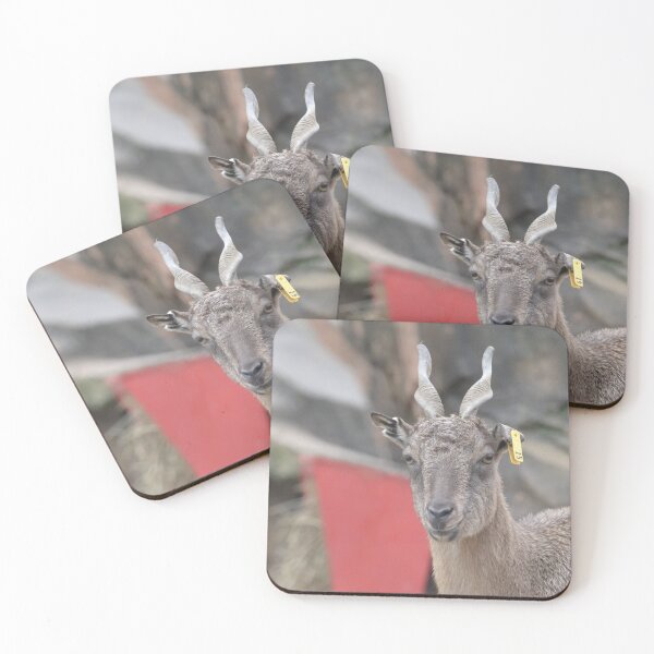 Item preview, Markhor designed and sold by akdcash.