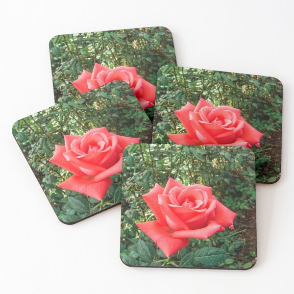 Item preview, Red roses designed and sold by Alf Ribeiro.