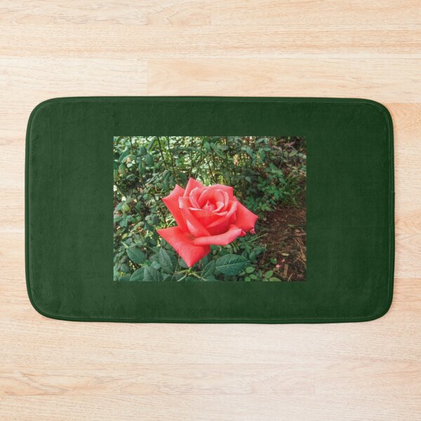 Item preview, Red roses designed and sold by Alf Ribeiro.