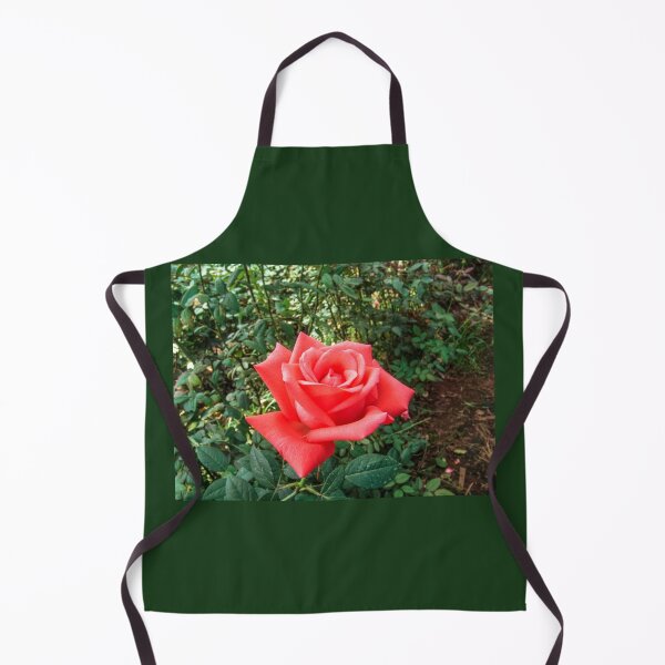 Item preview, Red roses designed and sold by Alf Ribeiro.