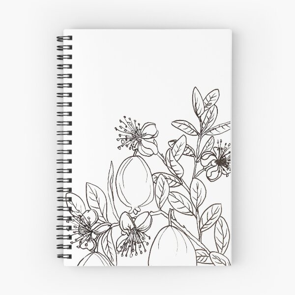 Item preview, feijoa illustration designed and sold by holleaf.
