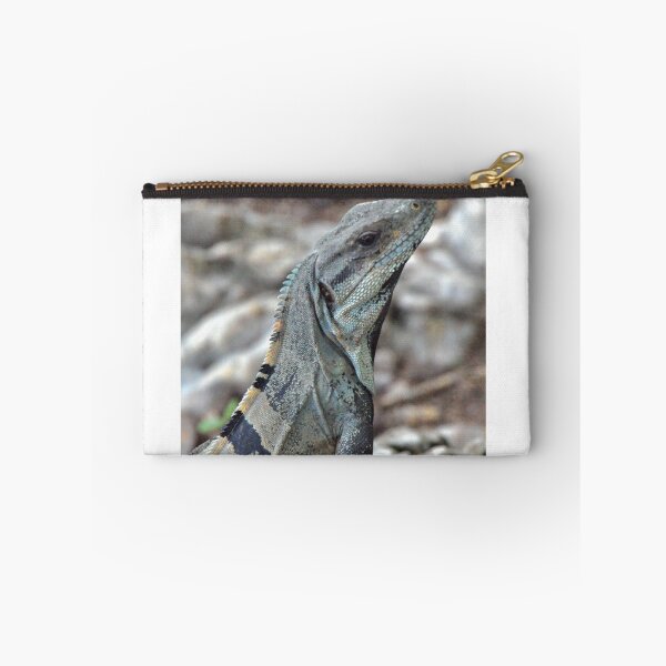Item preview, Charmed! designed and sold by Valerie Rosen Photography.