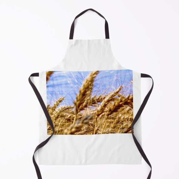 Item preview, Wheat plant on field designed and sold by Alf Ribeiro.