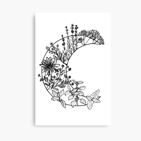 Sleep Canvas Print