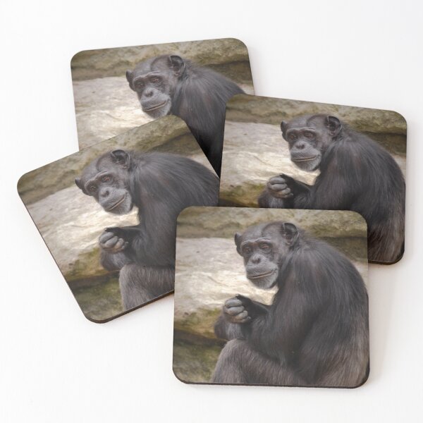 Item preview, Reflecting on Life designed and sold by Deborah Clearwater.