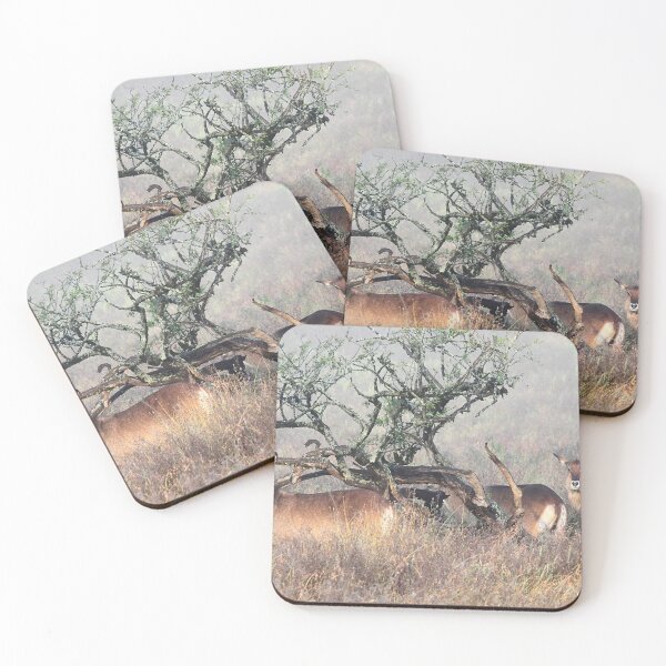 Item preview, De Fassa Waterbuck, Lake Nakuru, Kenya  designed and sold by Carole-Anne.