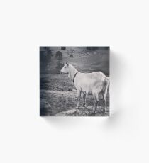 Fudge Acrylic Block