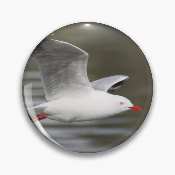 Artikelvorschau, Silver Gull in Flight entworfen und verkauft von Carole-Anne.
