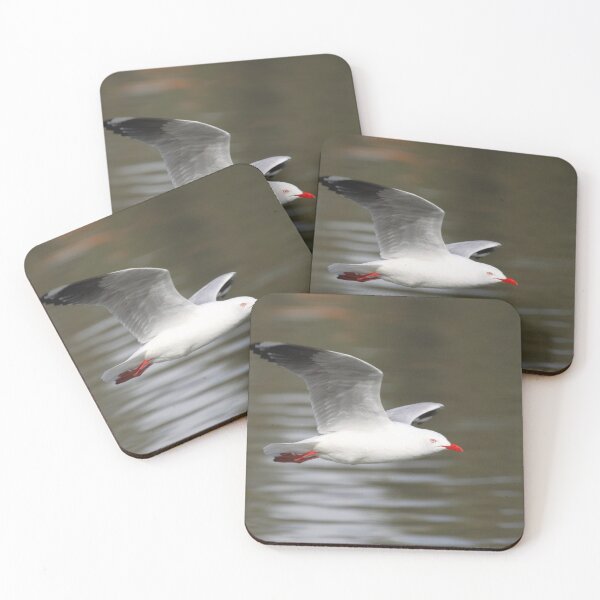Item preview, Silver Gull in Flight  designed and sold by Carole-Anne.