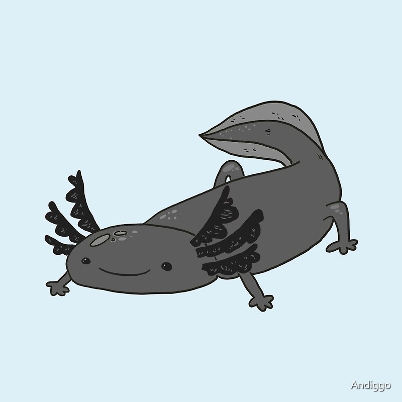 Black Axolotl Drawing