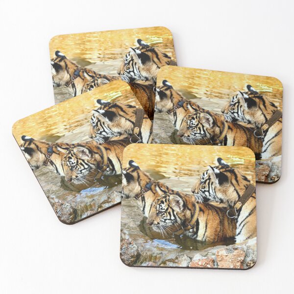 Item preview, Trio of Tiger Cubs, Kanchanaburi, Thailand  designed and sold by Carole-Anne.