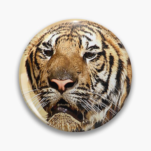 Item preview, Dripping Tiger, Kanchanaburi, Thailand  designed and sold by Carole-Anne.