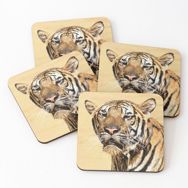 Item preview, Dripping Tiger, Kanchanaburi, Thailand  designed and sold by Carole-Anne.