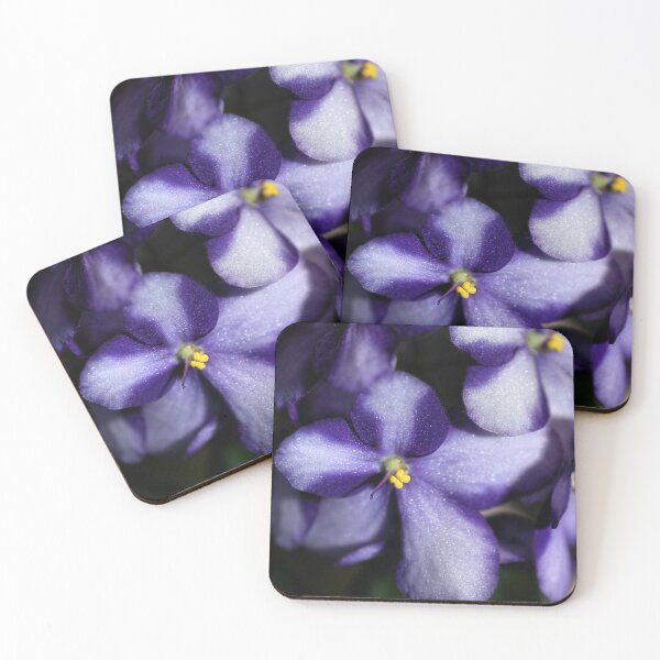 Item preview, Violet & White Bi-colour African Violets  designed and sold by Carole-Anne.