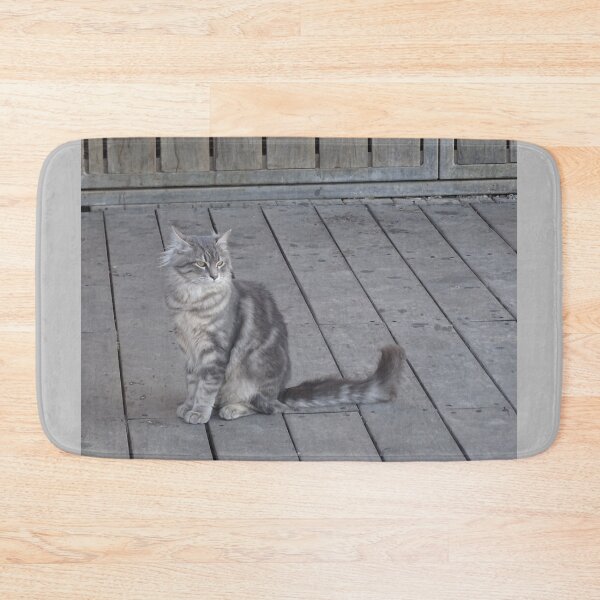 Item preview, Canadian gray Cat  designed and sold by PicsByMi.