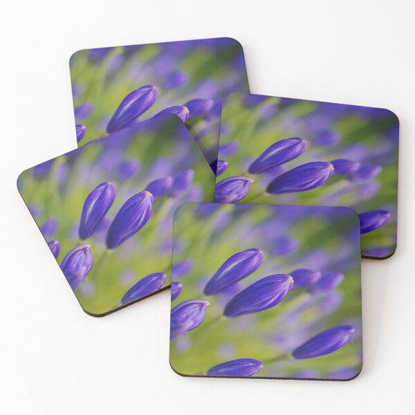 Item preview, Raining Of Agapanthus Buds designed and sold by Joy Watson - Natural Light Photography .