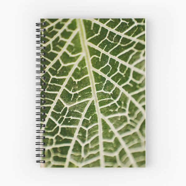 Item preview, Leaf designed and sold by CalebTCortes.