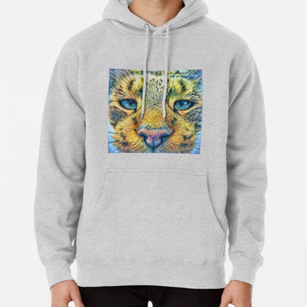 Hoodie (Pullover)