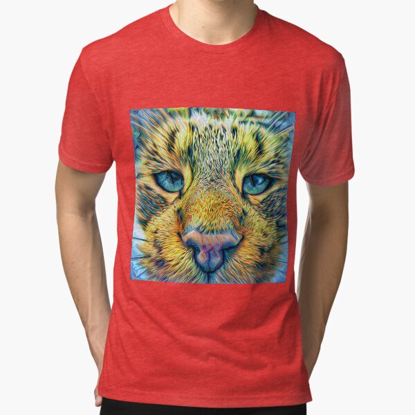 Tri-blend T-Shirt