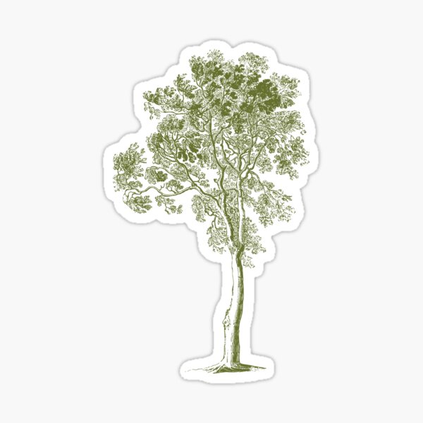 Item preview, The Tall Tree designed and sold by CreatorTeam2020.