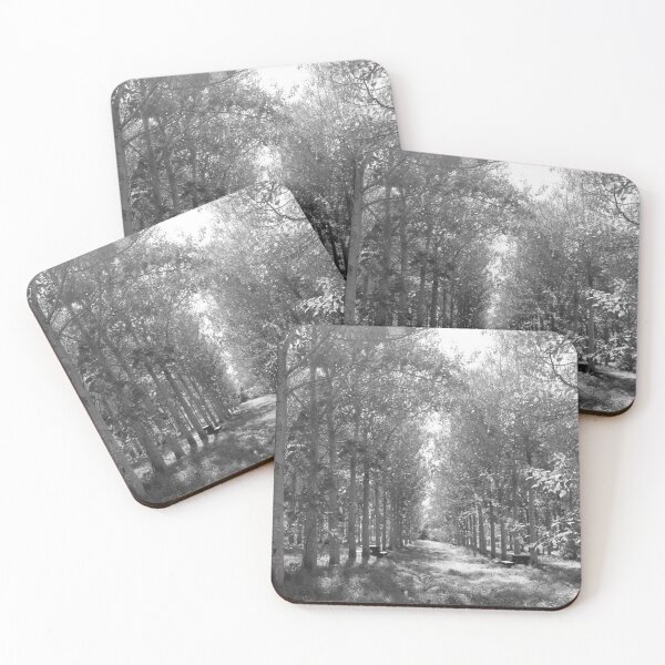 Item preview, Black and white woods, Black and white, Woods, Forest,  designed and sold by PicsByMi.