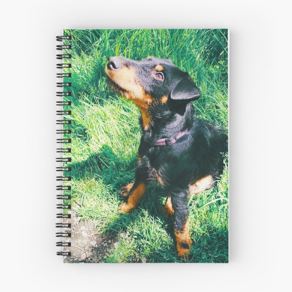 Item preview, Hunt terrier looking thoughtfully somewhere designed and sold by helenkaiy.