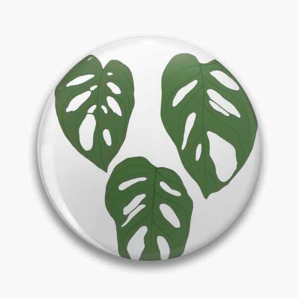 Item preview, Monstera adansonii 3 leaves  designed and sold by lu-lu.