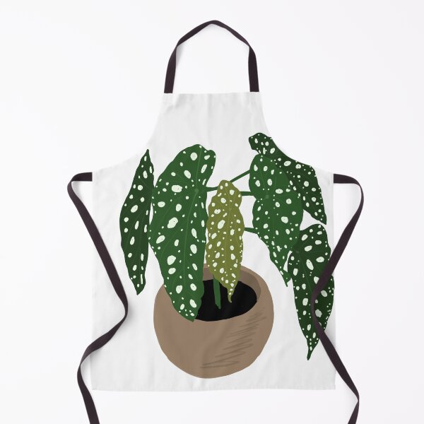 Item preview, Begonia maculata designed and sold by lu-lu.