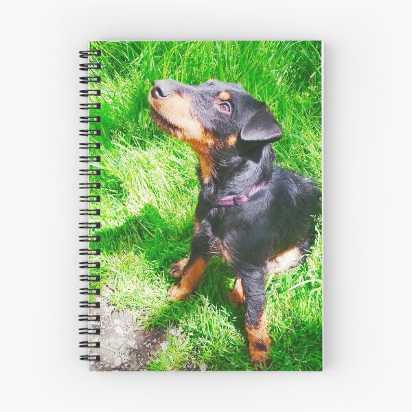 Item preview, Hunt terrier looking thoughtfully somewhere designed and sold by helenkaiy.