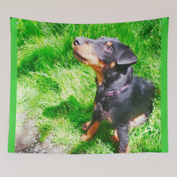 Item preview, Hunt terrier looking thoughtfully somewhere designed and sold by helenkaiy.