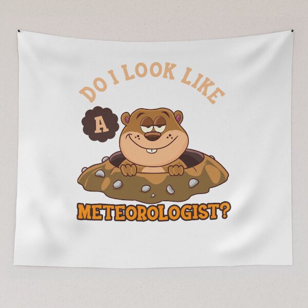 Item preview, A Meteorologist Groundhog! designed and sold by omgsavariya.