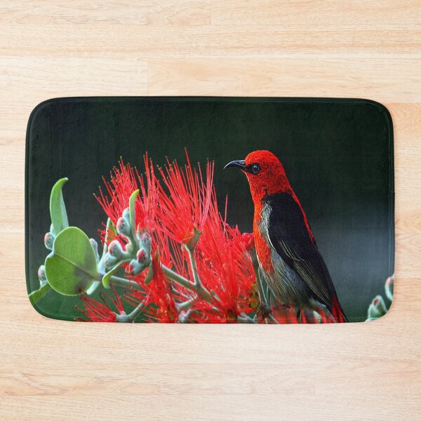 Item preview, scarlet myzomela designed and sold by oxyten.