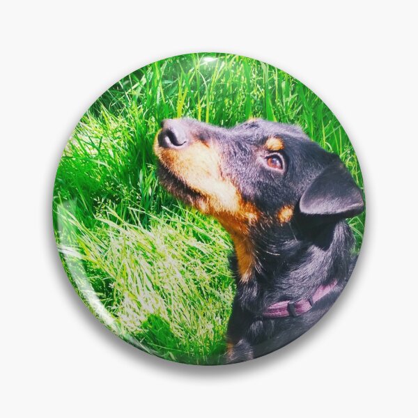 Item preview, Hunt terrier looking thoughtfully somewhere designed and sold by helenkaiy.