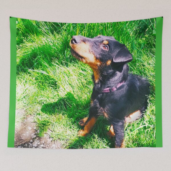 Item preview, Hunt terrier looking thoughtfully somewhere designed and sold by helenkaiy.