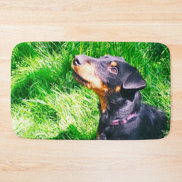Item preview, Hunt terrier looking thoughtfully somewhere designed and sold by helenkaiy.