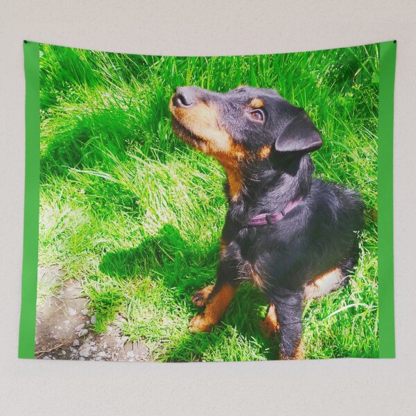 Item preview, Hunt terrier looking thoughtfully somewhere designed and sold by helenkaiy.