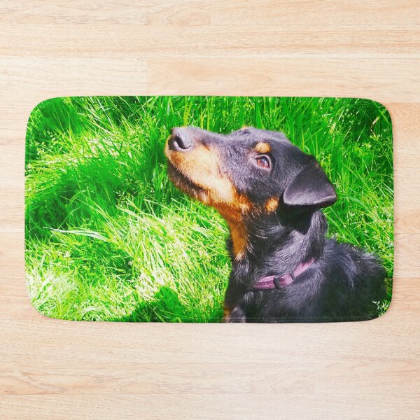 Item preview, Hunt terrier looking thoughtfully somewhere designed and sold by helenkaiy.