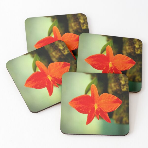 Item preview, Orchid Sophronitis coccinea designed and sold by NW-Photo-Art.