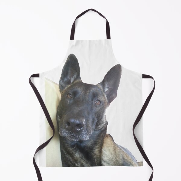 Item preview, Belgian Malinois dog relaxing designed and sold by mikoala50.
