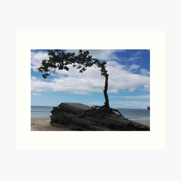 Item preview, Unique Holiday Beach Nature  Landscape  designed and sold by diverseidentity.
